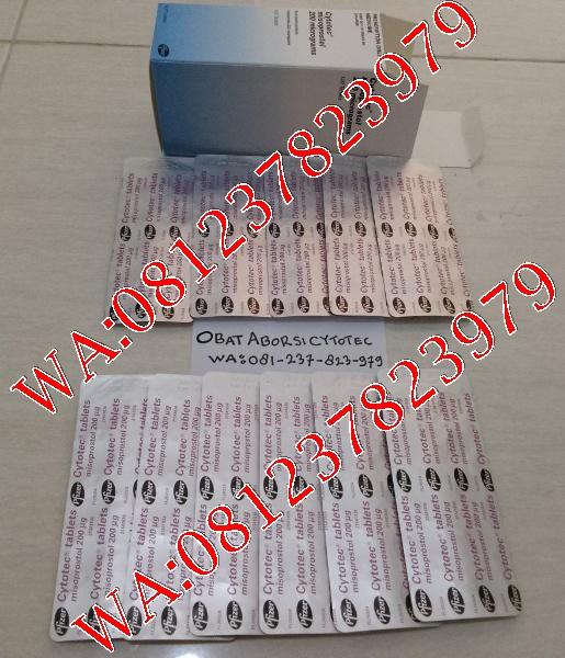 Jual Obat Aborsi Bsd  081237823979  Obat Cytotec Cod Bsd Obat Penggugur Kandungan Di Bsd